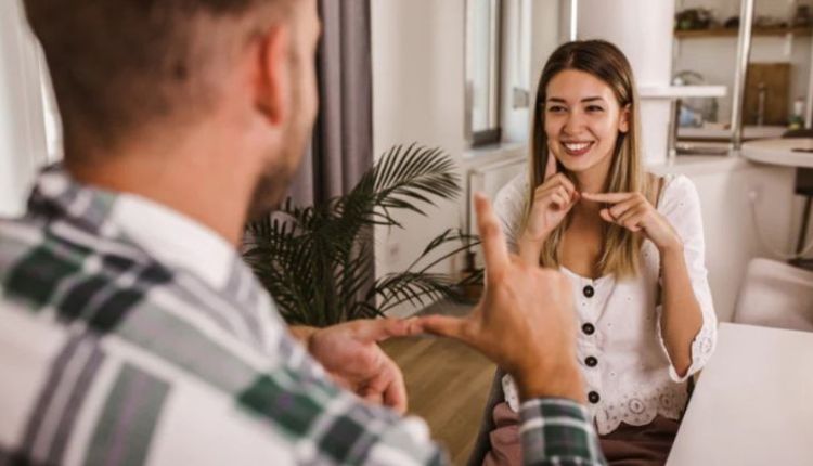 NumLooker: Unveiling The Future Of Numerical Data Analysis